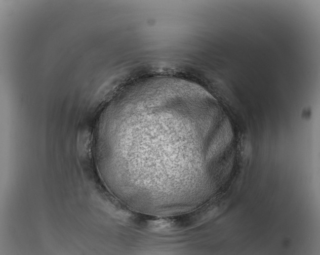 X0000112400511200908281754
