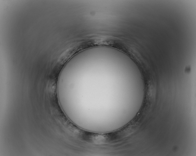 X0000112400513200908281754