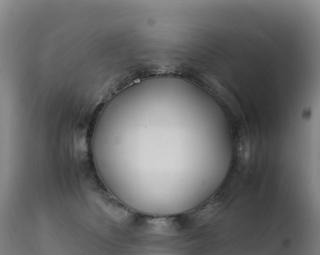 X0000112400516200908281754