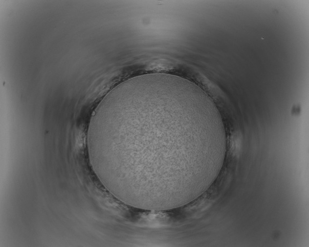 X0000112400517200908281754