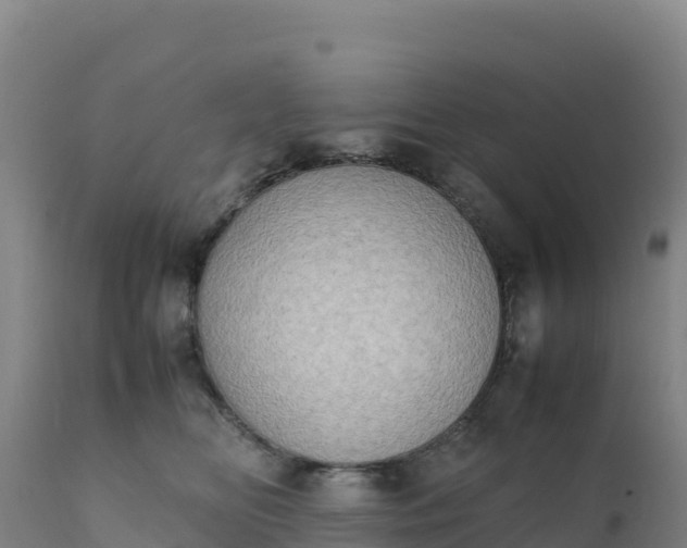 X0000112400518200908281754
