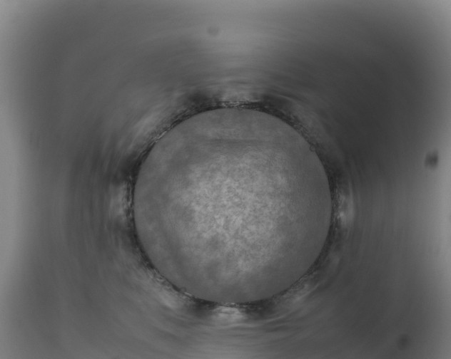 X0000112400519200908281754