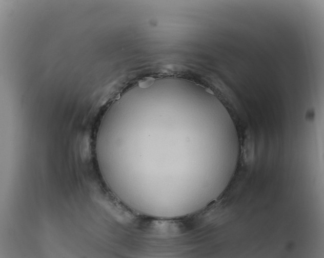 X0000112400520200908281754