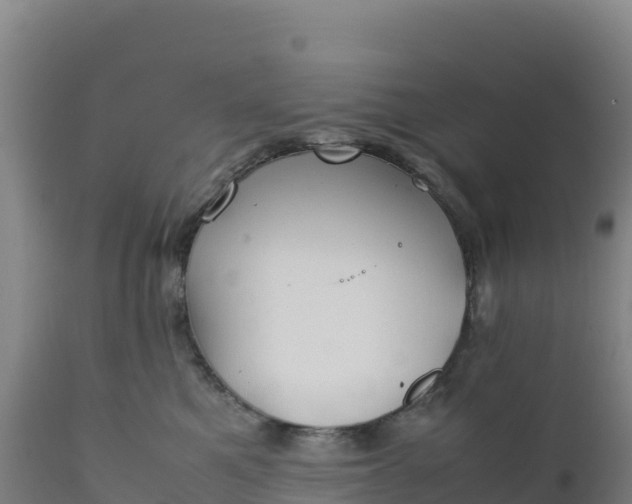 X0000112400521200908281754
