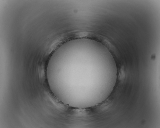 X0000112400524200908281754