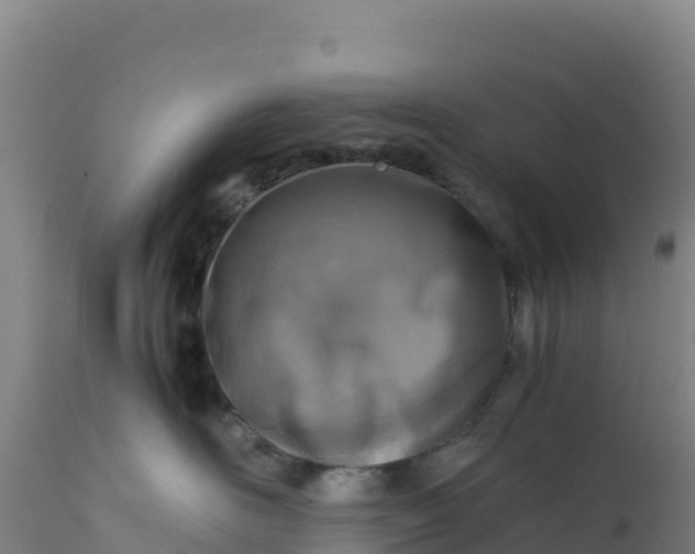 X0000112400526200908281754