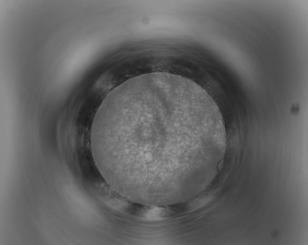 X0000112400527200908281754