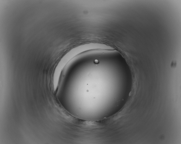 X0000112400528200908281754