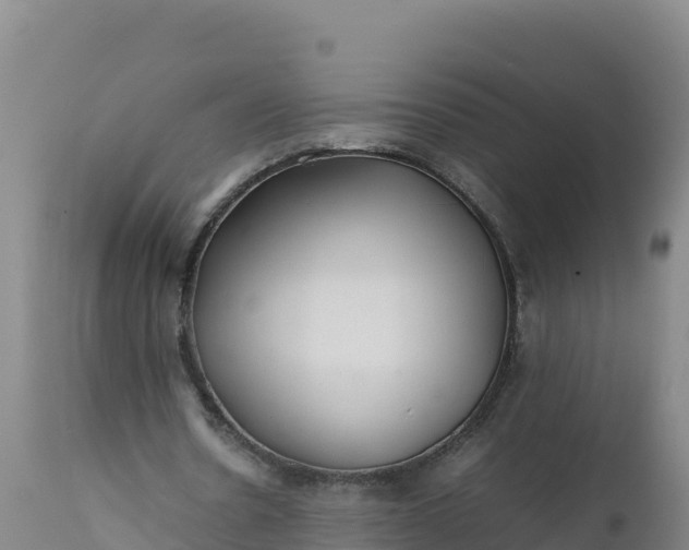 X0000112400530200908281753