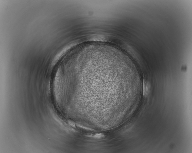 X0000112400531200908281753