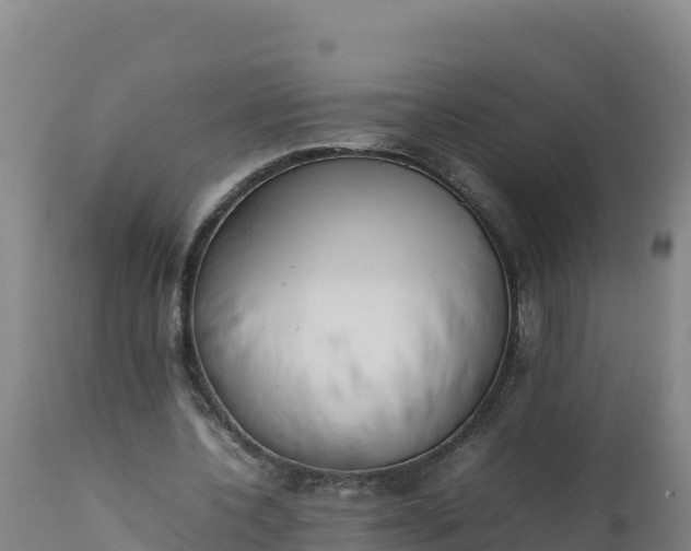 X0000112400532200908281753