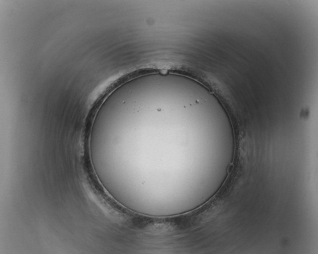 X0000112400536200908281753