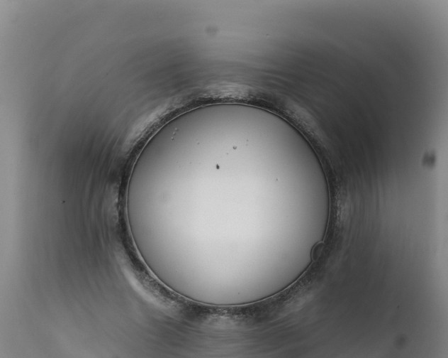 X0000112400538200908281753