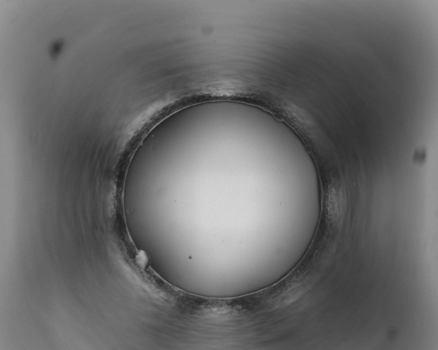 X0000112400540200908281753