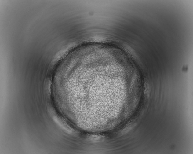 X0000112400542200908281753