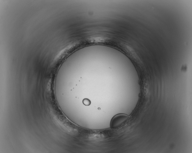 X0000112400543200908281753