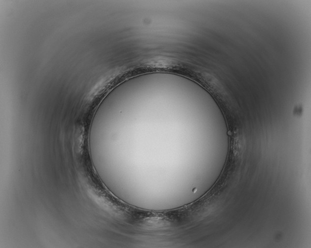 X0000112400544200908281753