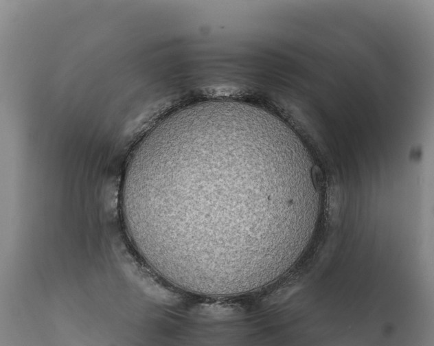 X0000112400545200908281753