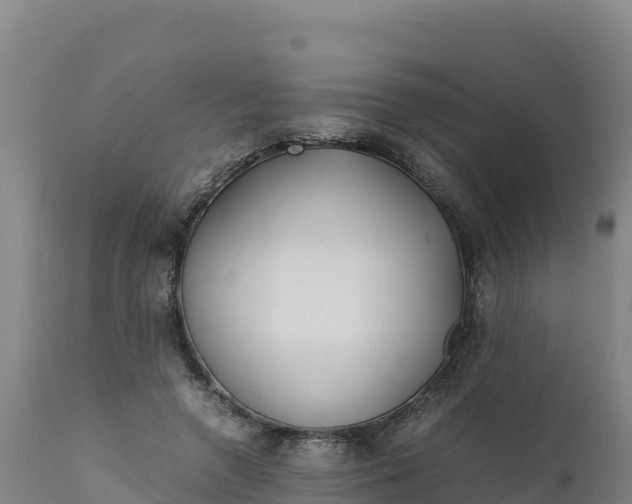 X0000112400546200908281753