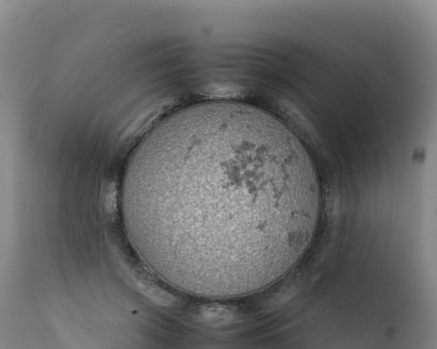 X0000112400549200908281753