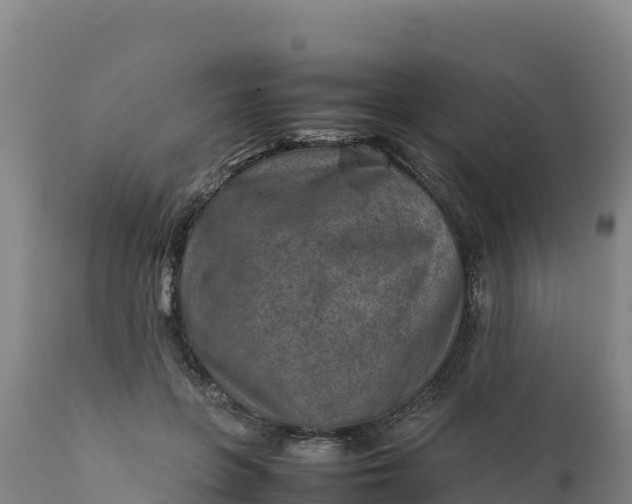 X0000112400551200908281753