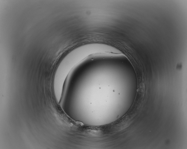 X0000112400552200908281753