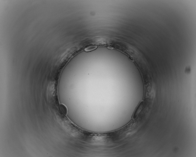 X0000112400560200908281753