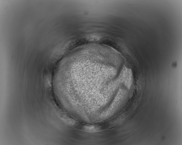 X0000112400561200908281753