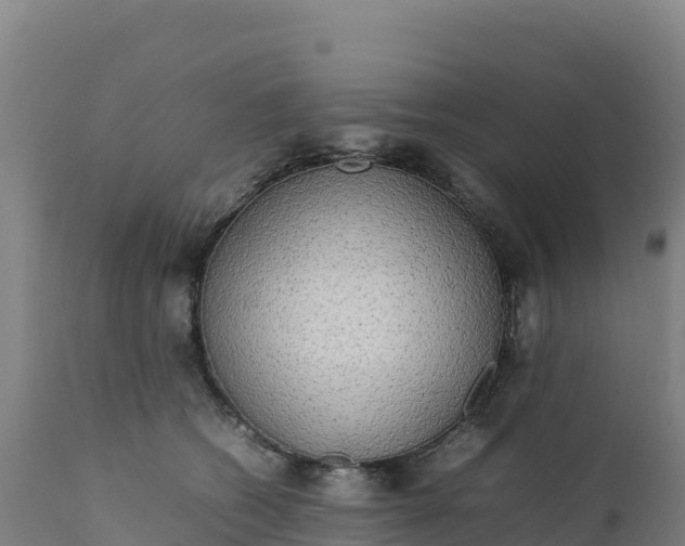 X0000112400562200908281753