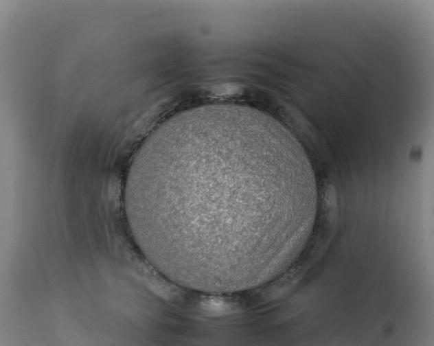 X0000112400565200908281753