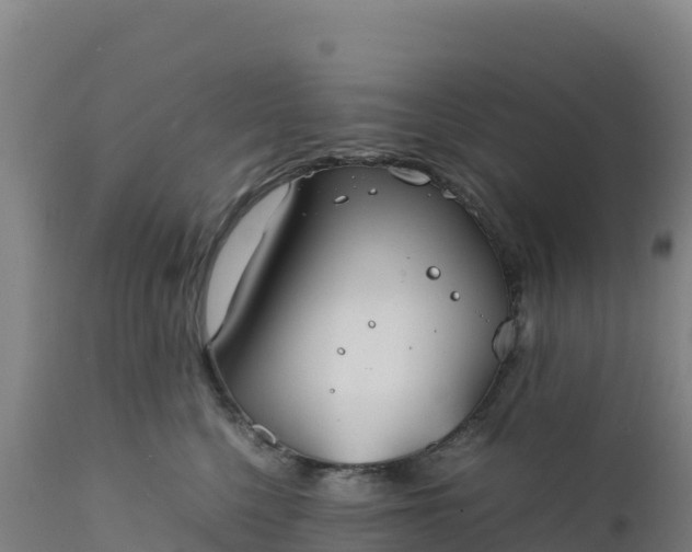 X0000112400568200908281753