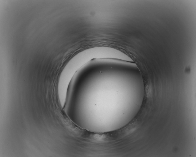 X0000112400570200908281753