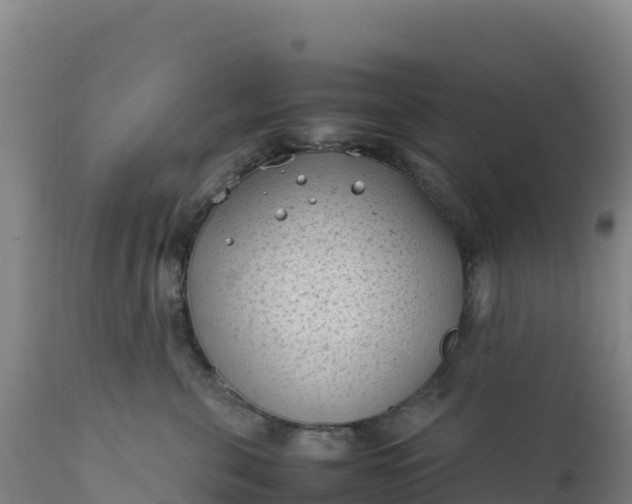 X0000112400571200908281753