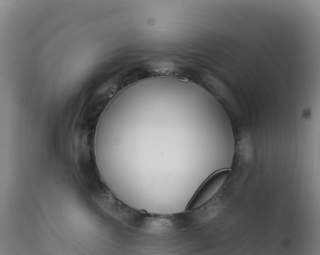 X0000112400572200908281754