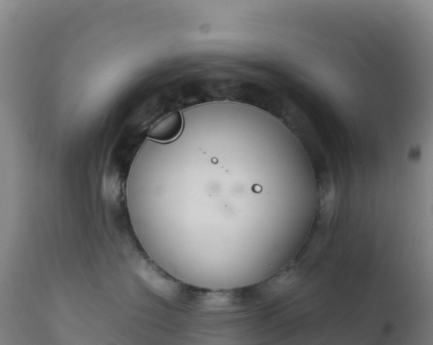 X0000112400574200908281754