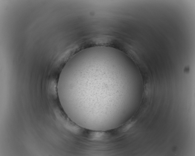 X0000112400575200908281754