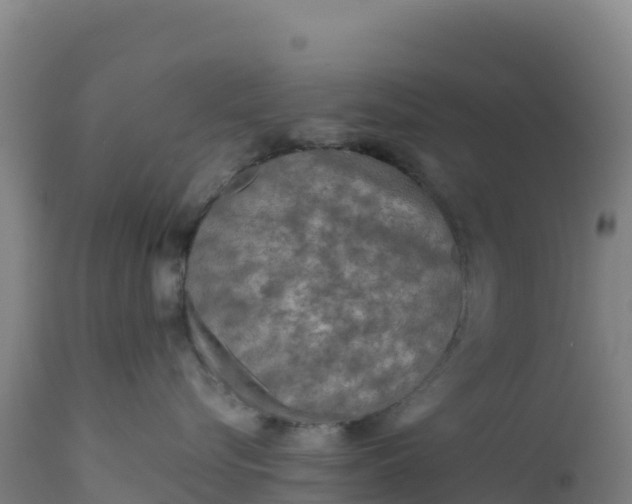 X0000112400576200908281754
