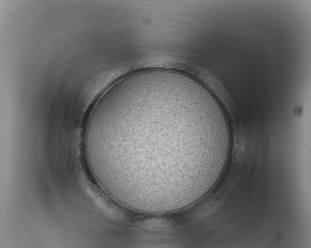 X0000112400578200908281753