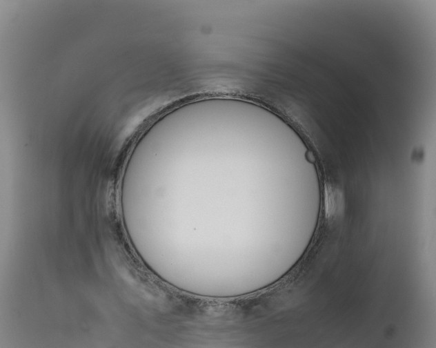 X0000112400579200908281753