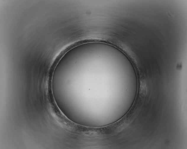 X0000112400580200908281753