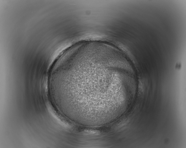 X0000112400582200908281753