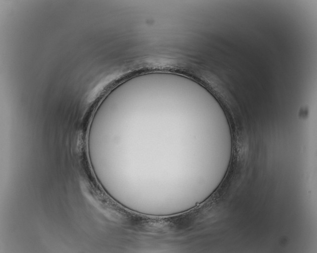 X0000112400583200908281753