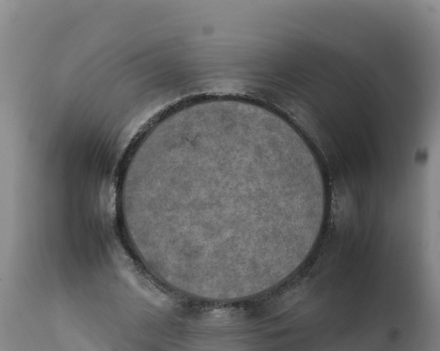 X0000112400584200908281753