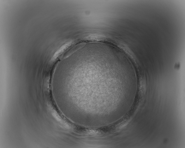 X0000112400585200908281753