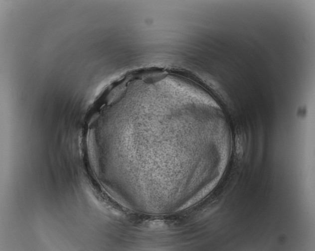 X0000112400588200908281753