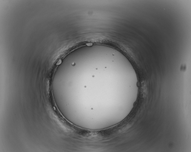 X0000112400589200908281753