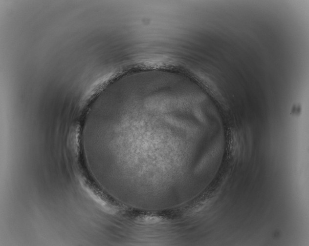 X0000112400590200908281753