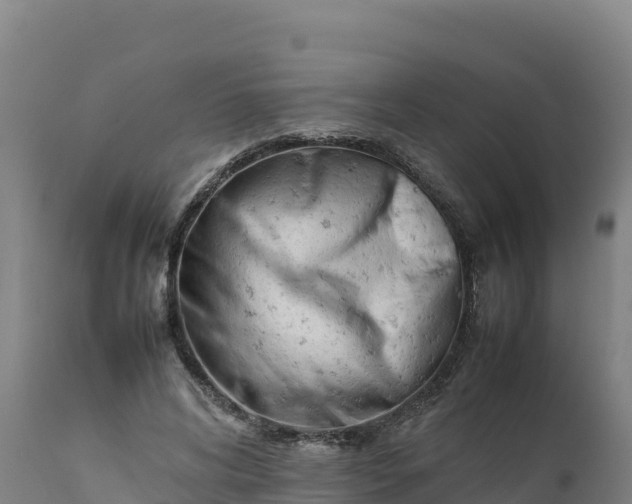 X0000112400592200908281753