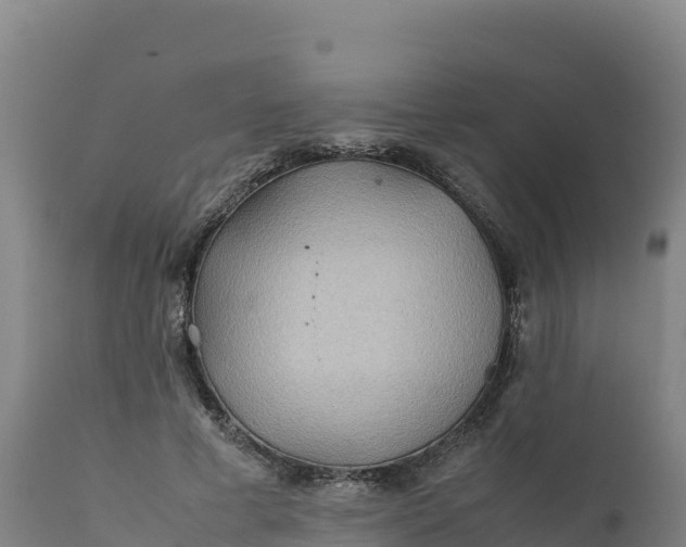 X0000112400593200908281753