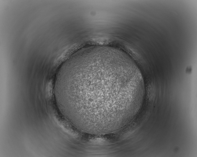 X0000112400594200908281752